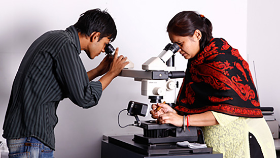 Students explore the mysteries revealed under the microscope. Students explore the mysteries revealed under the microscope.