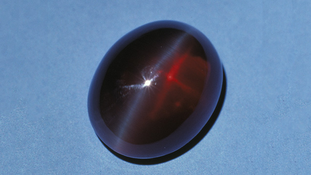 IMG - WN13 AB 10734 636x358 IMG - WN13 AB 10734 636x358