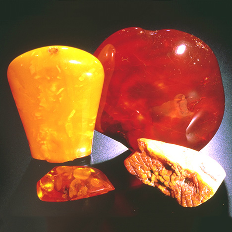 Amber in a Variety of Colors. Amber comes in a variety of colors. The most familiar ones are yellow to orange, while a reddish color is rare. This group includes cloudy amber, reddish amber from Myanmar, amber with stress fractures, and pale, almost opaque, amber. - Alan Jobbins