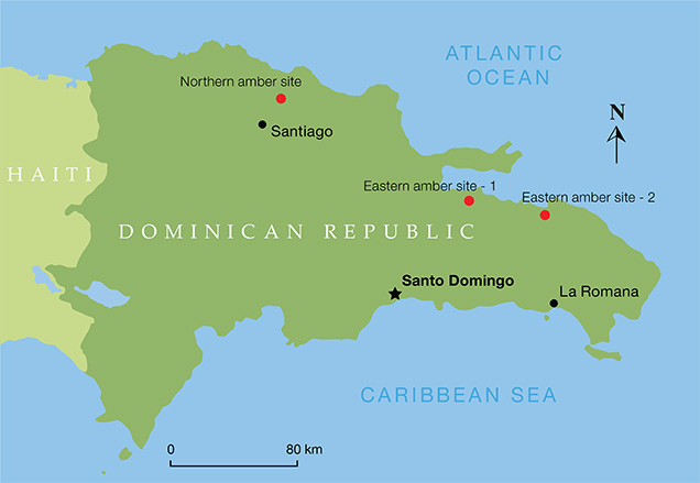 Map of the Dominican amber mines Map of the Dominican amber mines