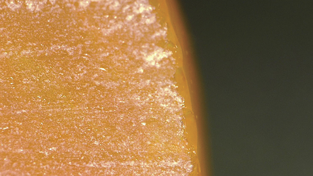 169479_636x358v2.jpg. Cross-section fire opal
