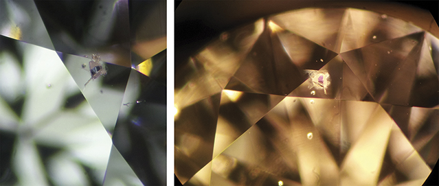 Garnet Crystal Inclusion Photomicrograph Garnet Crystal Inclusion Photomicrograph