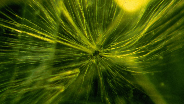 Demantoid Garnet with Horsetails. Demantoid might have eye-visible inclusions called horsetails that can raise its value.