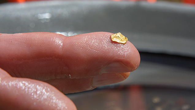 指先に乗った一片の金
