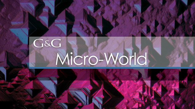 Micro-World 636x358 Micro-World 636x358