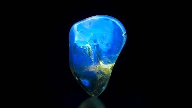 Rare Amber. Some rare amber specimens turn blue in fluorescent light. This striking example is from the Dominican Republic. - Courtesy Ambar Azul