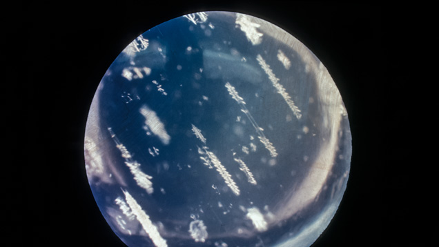 Centipedes in a Moonstone Centipedes in a Moonstone