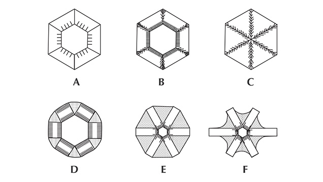 F15-Giuliani-Figure-10-191334-v2-636x358.jpg. Schematic cross-sections of different trapiche emeralds