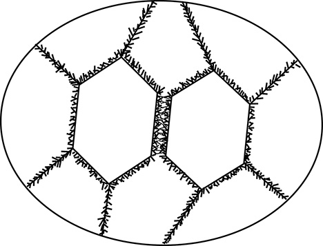 F15-Giuliani-Figure-11-191333-468x357.jpg. Schematic cross-section of an exceptional trapiche emerald