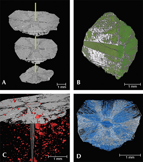 F15-Giuliani-Figure-15-Comp_190811-v2-468x531.jpg. Four X-ray computed tomography images of trapiche emerald from Muzo