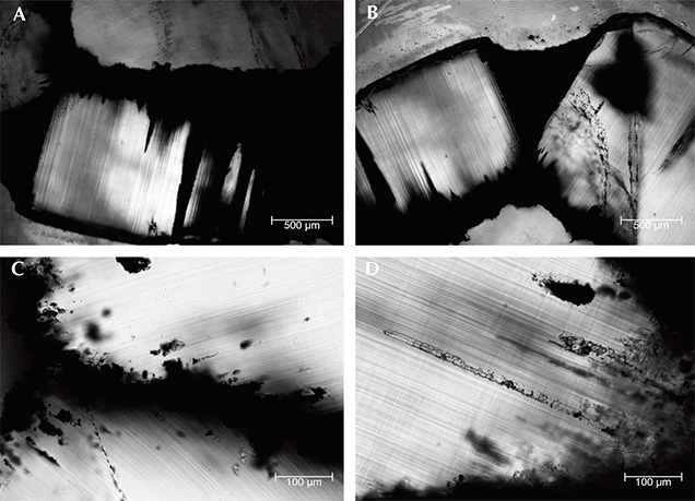 F15-Giuliani-Figure-18-Comp_190803-v2-636x459.jpg. Four optical images of growth arms in trapiche emeralds