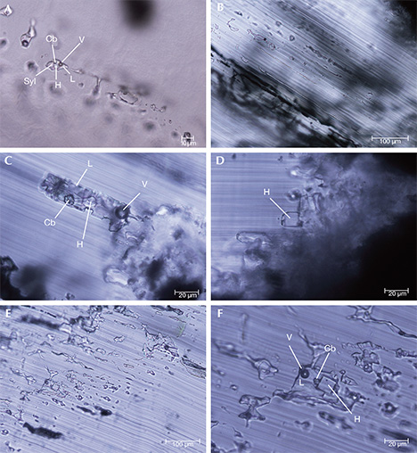 F15-Giuliani-Figure-19-Comp_190798-v2-468x508.jpg. Multiphase fluid inclusions in trapiche emeralds