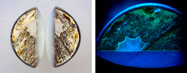 Different views of the internal structure and object. Different views of the internal structure and object.