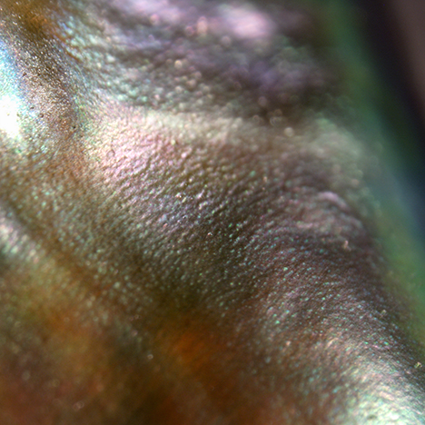 F15-LN-Figure-22_191021-468x468.jpg. Photomicrograph showing color and subsurface structure.
