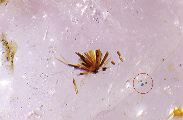 Needles and blue crystal deep within pezzottaite specimen.