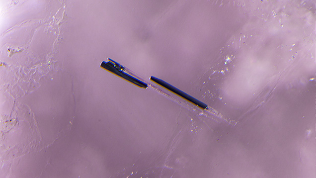 Dark needles in pezzottaite.