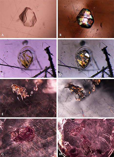 F15-Sun-Figure-4-Comp-v2_194316-468x644.jpg. Quartz crystal inclusions in “color-change” pyrope garnet