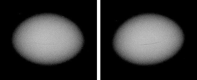 RTX images of a seed pearl. Figure 14. RTX images of the seed pearl (sample no. 100307378872) in two orientations. The RTX images show the whole thickness of the pearl in each orientation; since the linear feature is so fine and the pearl so small, µ-CT analysis did not yield results worth reproducing here.
