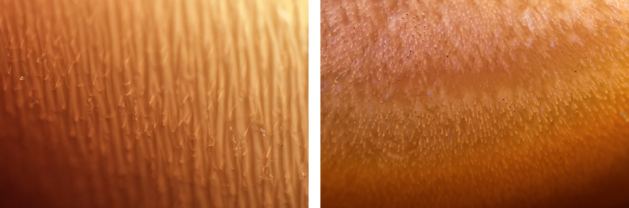 FA16-LN-Fig14-Comp_207980-1280x424.jpg