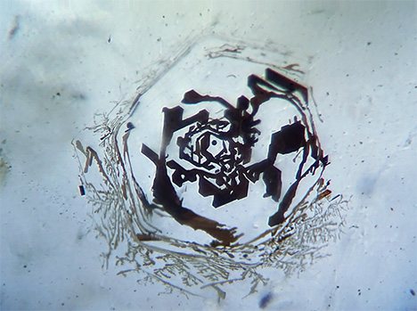 Hematite inclusion in the shape of a rose.