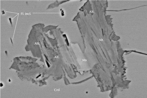 Figure 16. Inclusion of primary muscovite (Ms), which is partly altered to unidentified aluminosilicates (Alt.), and blocky fluid inclusions (Fl. incl.) in cordierite (Crd) from Blue Bear. Note the fractures leading to the partly altered muscovite. Backscattered electron SEM image; field of view 165 μm. Figure 16. Inclusion of primary muscovite (Ms), which is partly altered to unidentified aluminosilicates (Alt.), and blocky fluid inclusions (Fl. incl.) in cordierite (Crd) from Blue Bear. Note the fractures leading to the partly altered muscovite. Backscattered electron SEM image; field of view 165 μm.