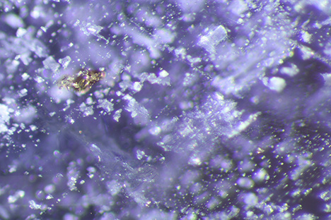 Figure 17. Densely included cordierite from Blue Bear containing a grouping of zircon crystals with yellowish radiohalos, white muscovite, and small colorless fluid inclusions. The fluid inclusions proximal to the zircon group appear primary, while those in the lower right corner occur on a rehealed fracture and are thus secondary. Photomicrograph by Philippe Belley; field of view 1.88 mm. Figure 17. Densely included cordierite from Blue Bear containing a grouping of zircon crystals with yellowish radiohalos, white muscovite, and small colorless fluid inclusions. The fluid inclusions proximal to the zircon group appear primary, while those in the lower right corner occur on a rehealed fracture and are thus secondary. Photomicrograph by Philippe Belley; field of view 1.88 mm.