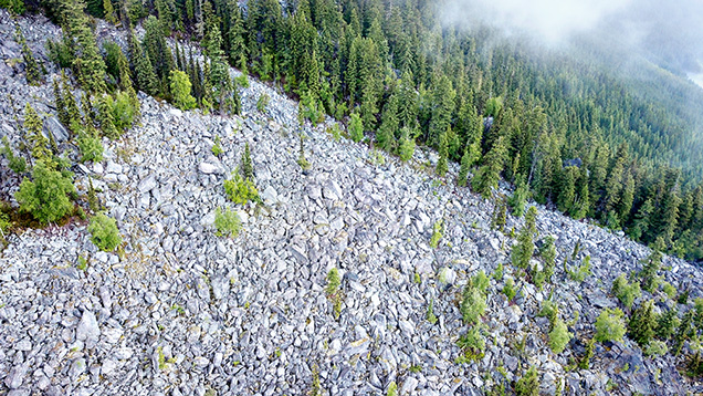 Figure 4. Aerial image of the Blue Arrow iolite occurrence, which consists of cordierite-bearing boulders near the forest’s edge. Photo by Philippe Belley. Figure 4. Aerial image of the Blue Arrow iolite occurrence, which consists of cordierite-bearing boulders near the forest’s edge. Photo by Philippe Belley.