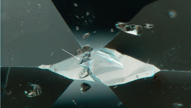 Figure 3. Tetragons (surface features restricted to the cubic crystal face) preserved at the culet of the diamond. Photomicrograph by Matthew Hardman; field of view 1.26 mm.