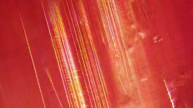 Figure 3. Iridescent growth tubes in pezzottaite with brightfield illumination. Photomicrograph by Taryn Linzmeyer; field of view 0.72 mm. Figure 3. Iridescent growth tubes in pezzottaite with brightfield illumination. Photomicrograph by Taryn Linzmeyer; field of view 0.72 mm.
