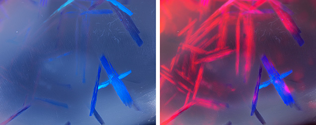 Figure 2. A pattern resembling the letter “A” was observed on the other side of the black opal. The left image was taken using fiber-optic illumination with a white diffuser, while the right image used a combination of fiber-optic and brightfield illumination. Photomicrographs by Makoto Miura; field of view 2.96 mm. Figure 2. A pattern resembling the letter “A” was observed on the other side of the black opal. The left image was taken using fiber-optic illumination with a white diffuser, while the right image used a combination of fiber-optic and brightfield illumination. Photomicrographs by Makoto Miura; field of view 2.96 mm.
