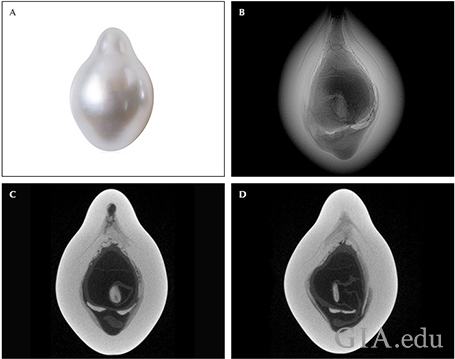 Fig10_468px_cc_w.png