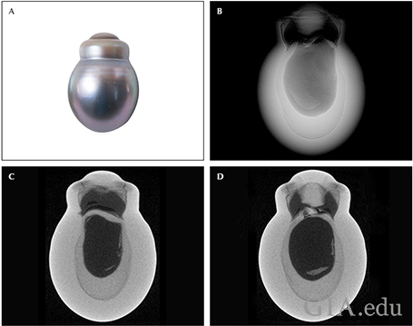 Fig11_468px_cc_w.png