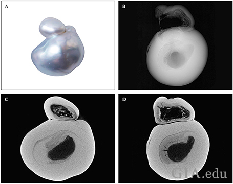 Fig13_468px_cc_w.png