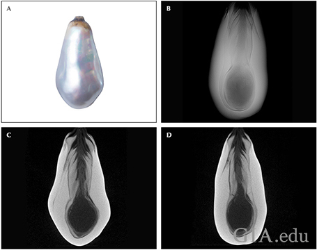 Fig14_468px_cc_w.png