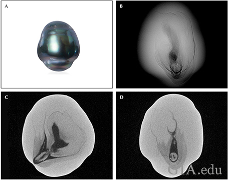 Fig17_468px_cc_w.png
