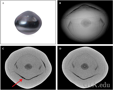 Fig19_468px_cc_w.png
