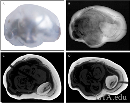 Fig22_468px_cc_w.png
