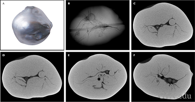 Fig23_636px-v4_w.png