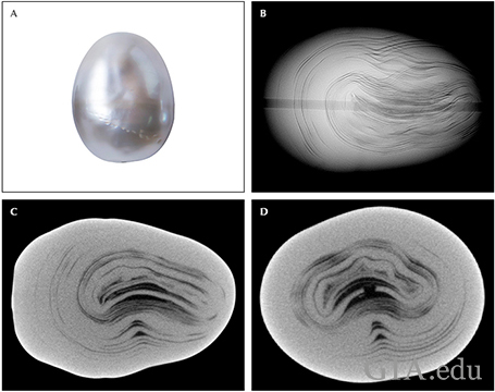 Fig24_468px_cc_w.png