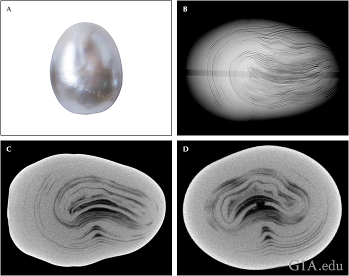 Fig24_720px_cc_w.png