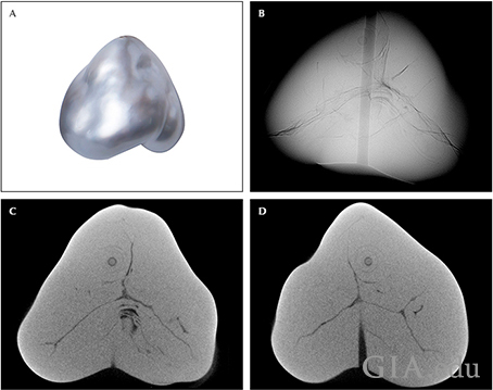 Fig25_468px_cc_w.png