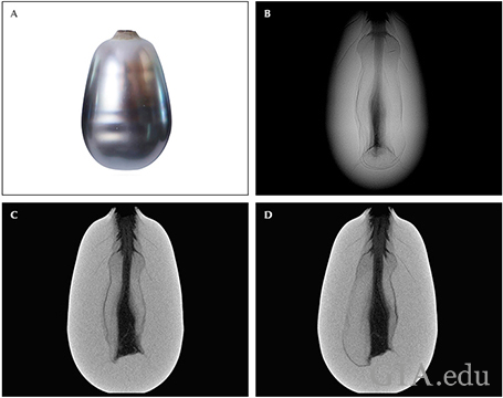 Fig7_468px_cc_w.png