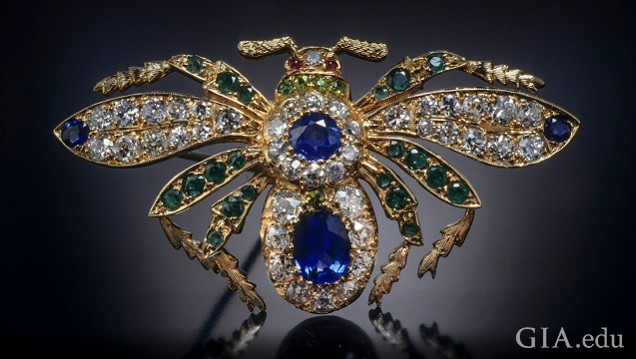 A view from behind of a bejeweled winged insect. A view from behind of a bejeweled winged insect.