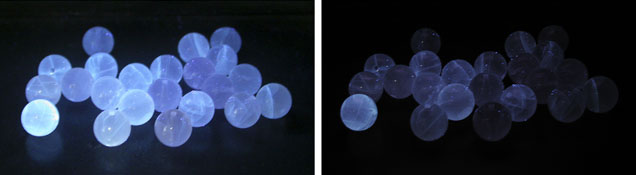 SP13-Li-fig2-AB 147426 SP13-Li-fig2-AB 147426