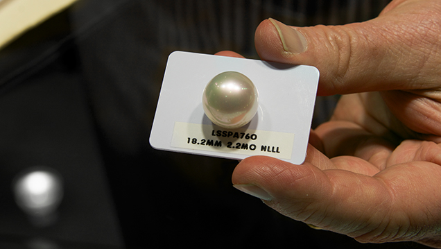 Spherical South Sea cultured pearl