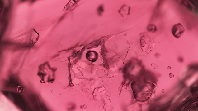 Multiphase inclusions in Star of David spinel. Figure 3. About five multiphase inclusions associated with colorless carbonate crystal are seen in the spinel’s center, shown using diffused brightfield illumination. Photo by Victoria Raynaud/GIA; field of view 2.40 mm.