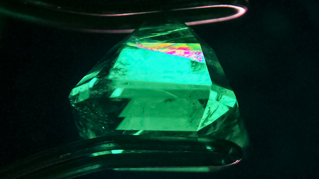 Doublet viewed under crossed polarizers. Figure 3. When the doublet was viewed under crossed polarizers, different optical orientations were apparent. At this angle, interference colors along the optic axis are clearly visible in the bottom portion but not the top. Photo by Claire Ito; field of view 11.60 mm.