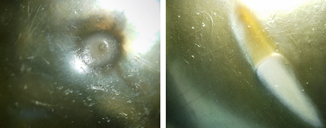 Microscopic images of white blemish areas on treated pistachio pearls. Figure 4. Microscopic images on the white blemish areas of treated pistachio pearls GIA 01 (left, field of view 2.0 mm) and GIA 02 (right, field of view 2.7 mm) did not reveal any dye concentrations. Photomicrographs by Sally Chan.