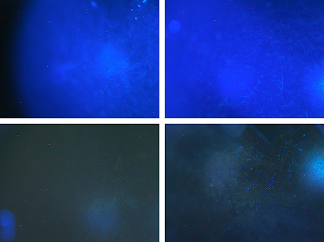 DiamondView images of natural and treated pistachio pearls. Figure 5. DiamondView fluorescence images of a naturally colored pistachio pearl (top left), a naturally colored dark gray pearl (top right), and treated Tahitian cultured pearls BA 06 (bottom left) and GIA 02 (bottom right) showed distinct differences in fluorescence intensity under identical experimental conditions. Images by Kyaw Soe Moe.