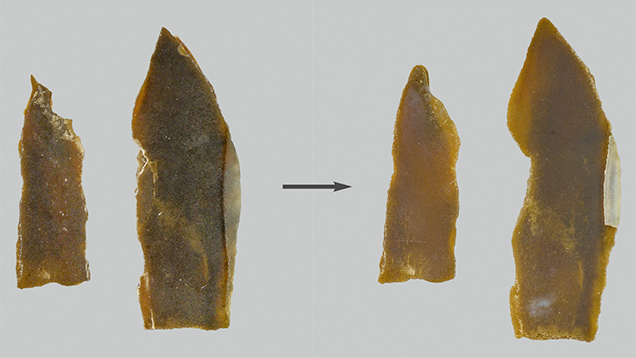 Pieces of P. margaritifera shell before and after bleach treatment. Figure 13. Two pieces of P. margaritifera shell before (left) and after (right) bleach treatment using both solution and cream methods, which lightened the samples’ color, especially toward the edge of the larger shell. Photos by Sood Oil (Judy) Chia.